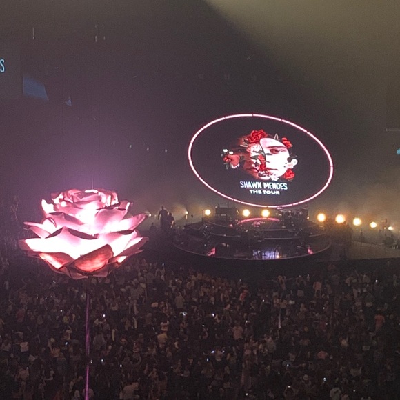 Authentic Shawn Mendes Signature - Picture 6 of 7